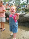 Click to Enter 'Kenleigh Starfish' Page